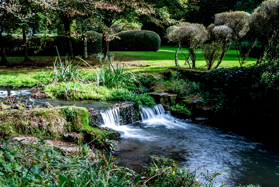 Une jolie cascade d'eau à travers les plantes vertes du jardin du Domaine de Béronsart