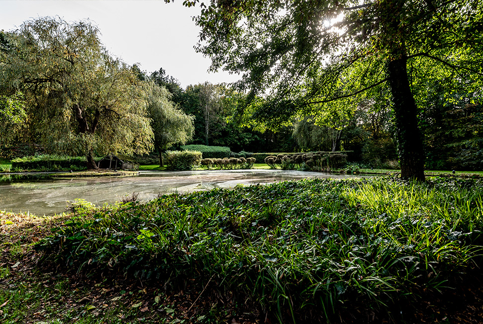 L'étang du jardin du Domaine de Béronsart