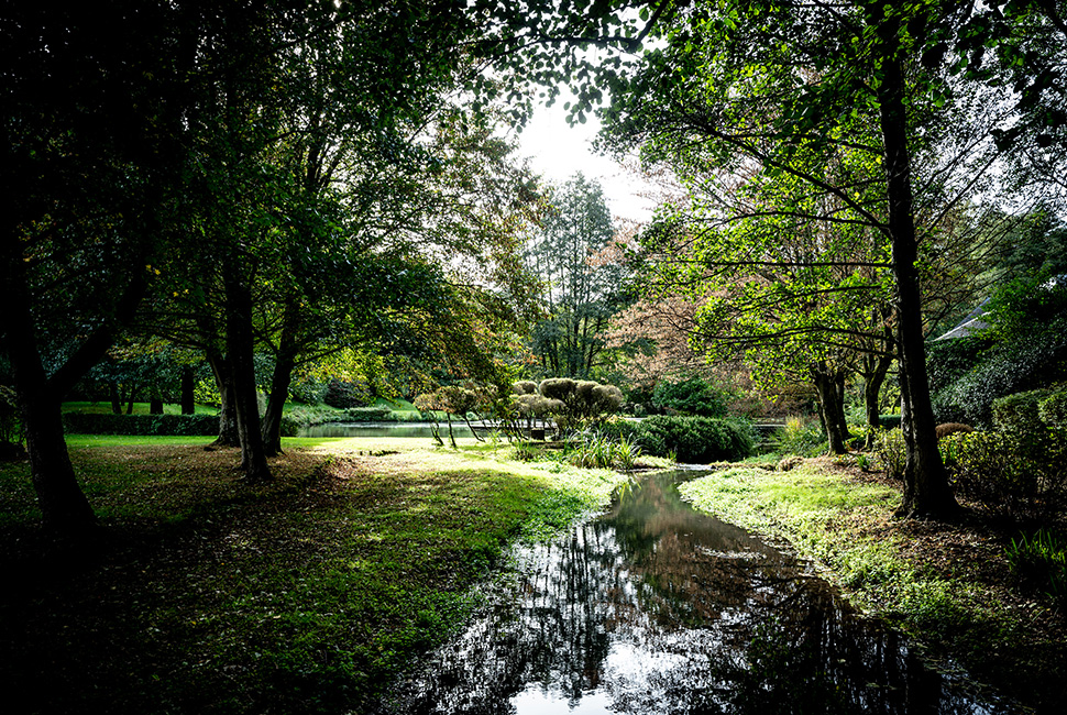 L'étang qui coule au milieu de la forêt du Domaine de Béronsart